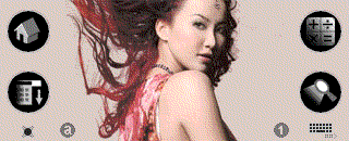 Coco Lee Skin - DisCoCo